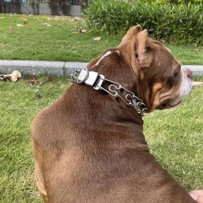 Collier de dressage pour chien efficace avec fonction anti-traction confortable