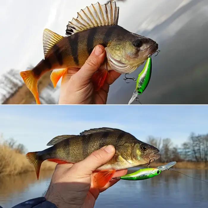 TSURINOYA Max 3.7m 60SP 5.7g leurre de pêche méné suspendu explorateurs SHAD longue coulée appât dur