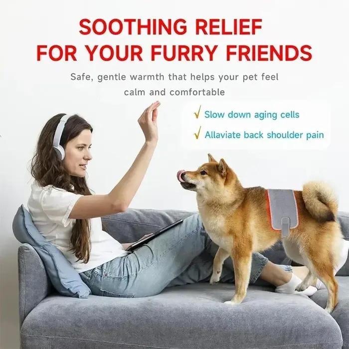 Équipement de physiothérapie de thérapie LED à lumière rouge à usage vétérinaire pour soulager la douleur des chiens de compagnie réduire la douleur