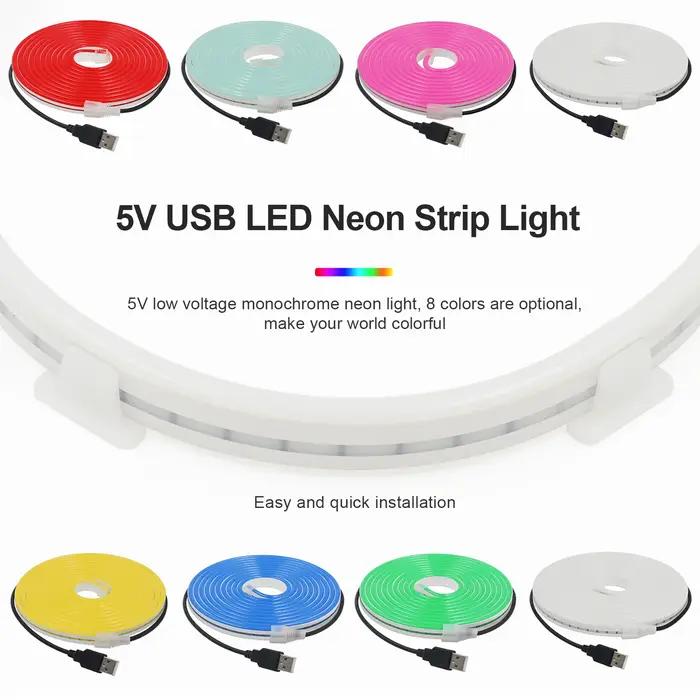 Bande lumineuse LED néon USB, 5V, 120 diodes/m, SMD 2835, étanche, Flexible, avec boîtier de batteri