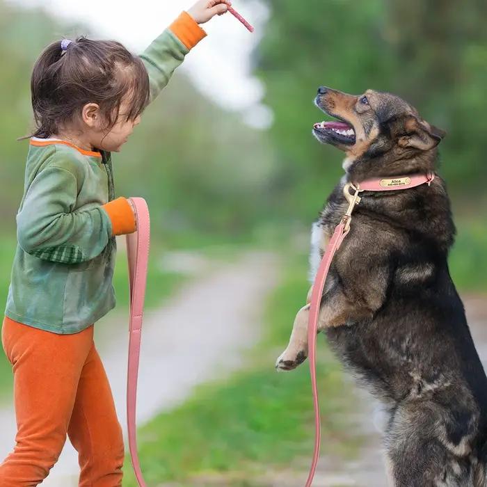 Laisse souple en cuir PU pour chien de compagnie