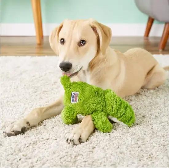 Jouet en peluche Cozie Ali alligator et singe pour chiens aventuriers recherche et détente occasions spéciales