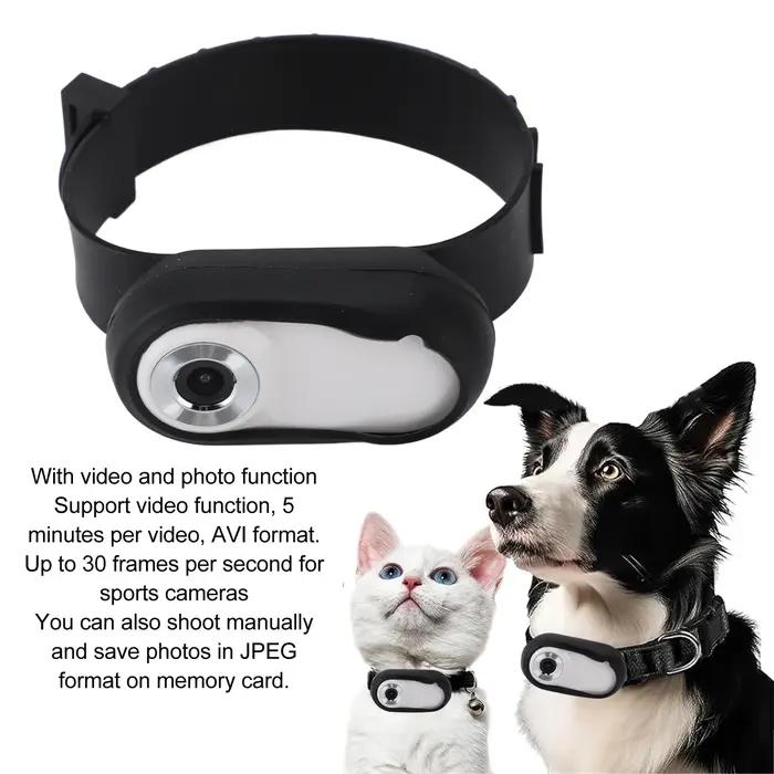 Caméra de collier d'action pour animaux de compagnie 170° avec support de carte mémoire rechargeable par USB pour chiens et chats occasions spéciales