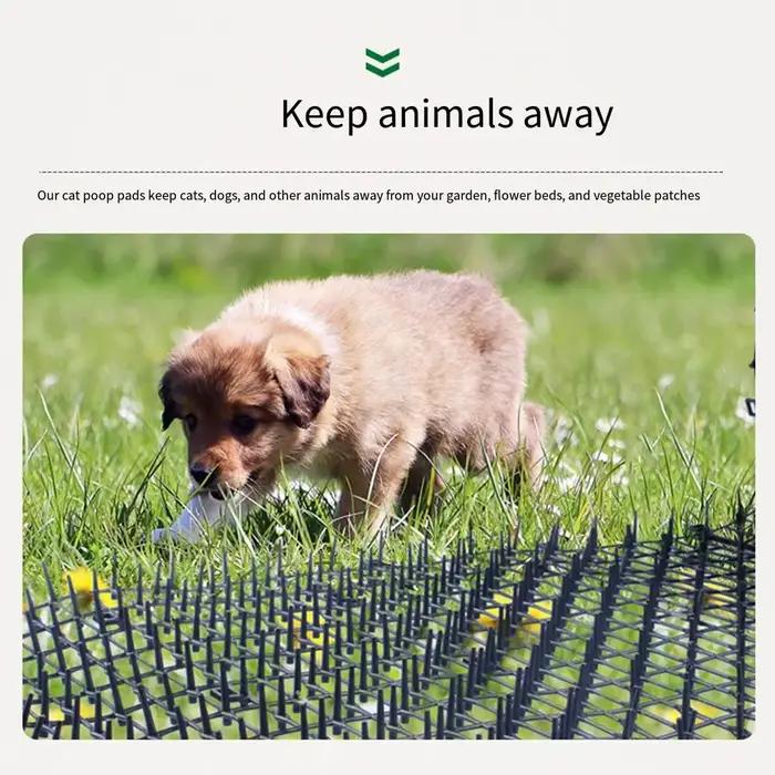 Tapis anti-griffes pour chats de 2 à 4 mètres, en plastique, avec pointes dissuasives, pour protéger jardin et intérieur, en beige, brun, or ou orange