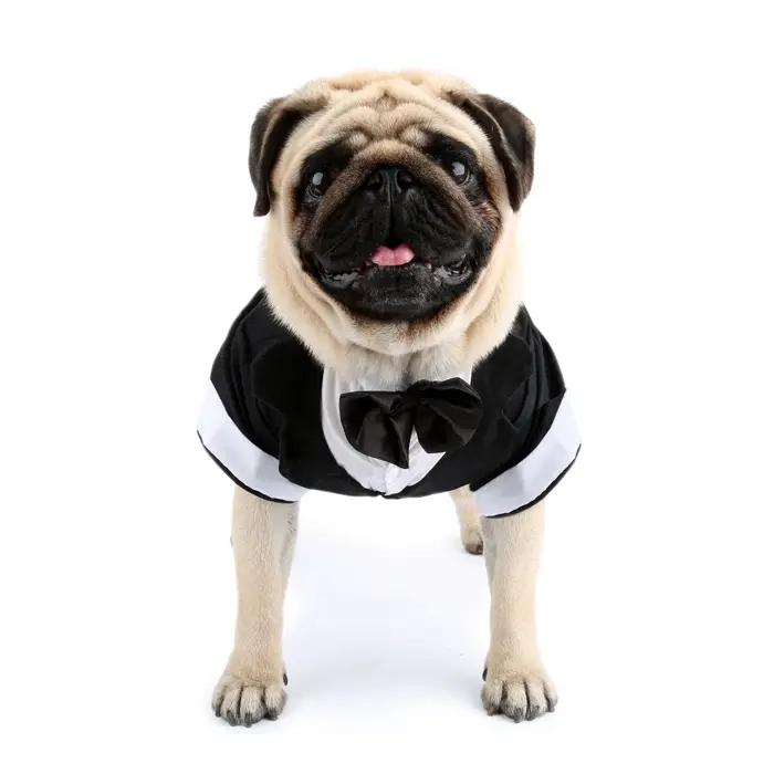 Chemise pour chien, vêtements pour chiots, costume de mariage pour animaux de compagnie, smoking formel avec nœud papillon noir, tenue pour chien pour petits chiens et chats, tenue de mariage pour chi