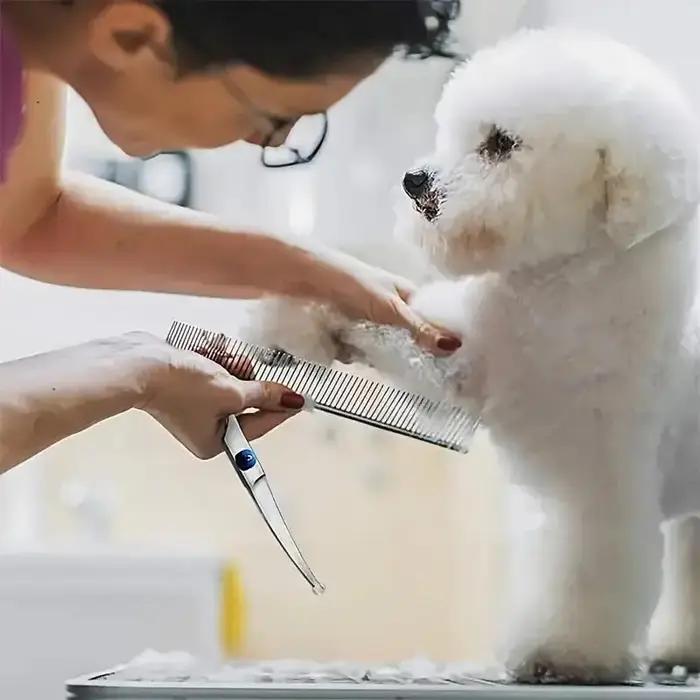 Ciseaux sûrs pour animaux de compagnie