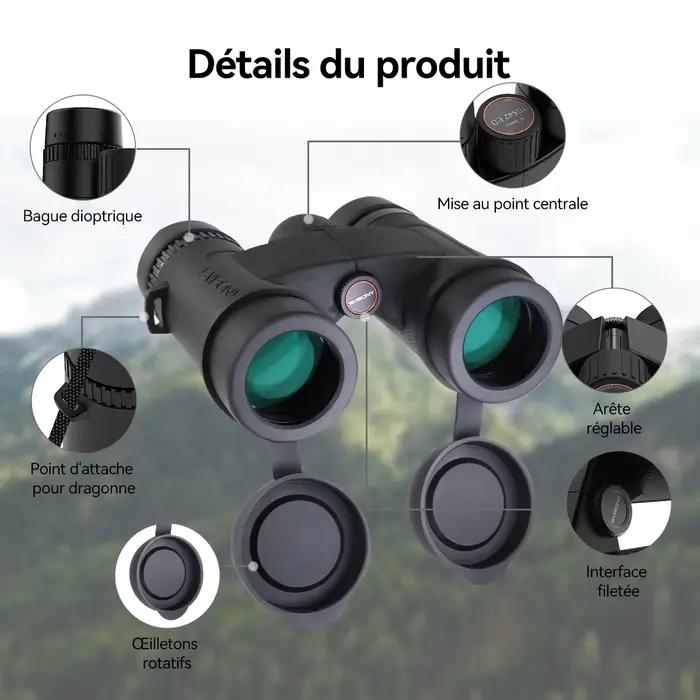 Jumelles SVBONY SV202 ED grand angle 8x32/8x42/10x42 - Prisme BAK4, étanche IPX7 pour ornithologie et camping