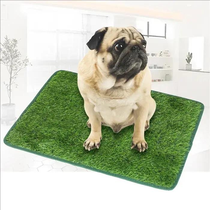Tapis de pelouse de chien de toilette