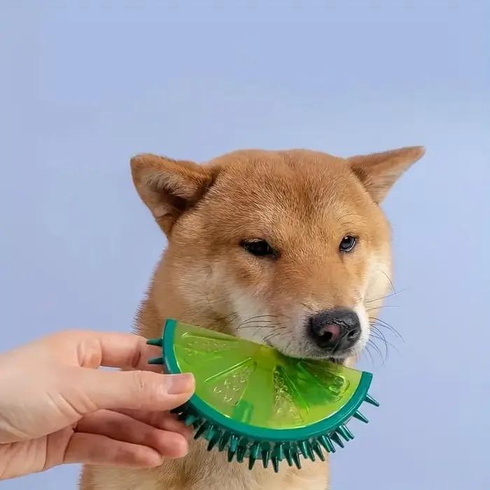 Jouets de nettoyage des dents de chien en forme de fruit