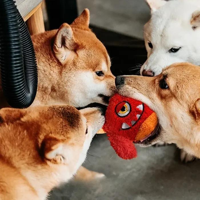 Balles interactives couineuses pour chiens