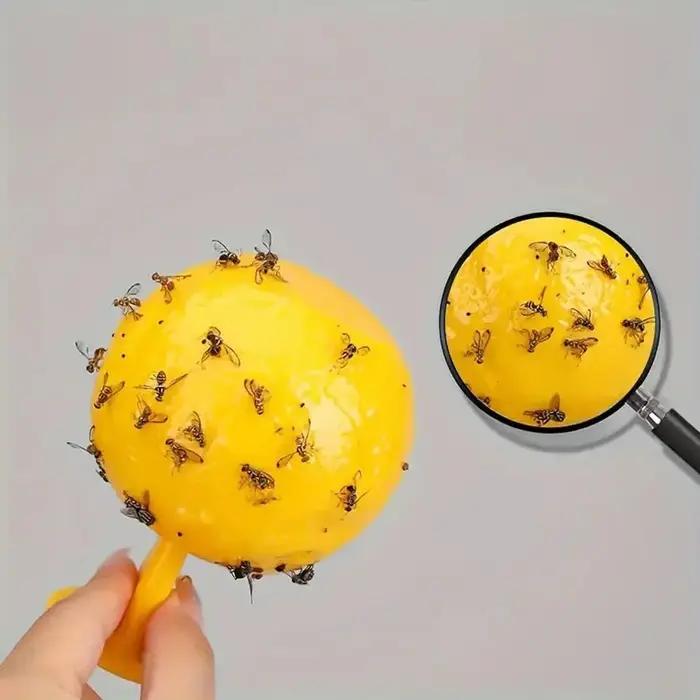 Piège à mouches boule collante résistant à la chaleur pour jardin protection des fruits sans produits chimiques occasions spéciales