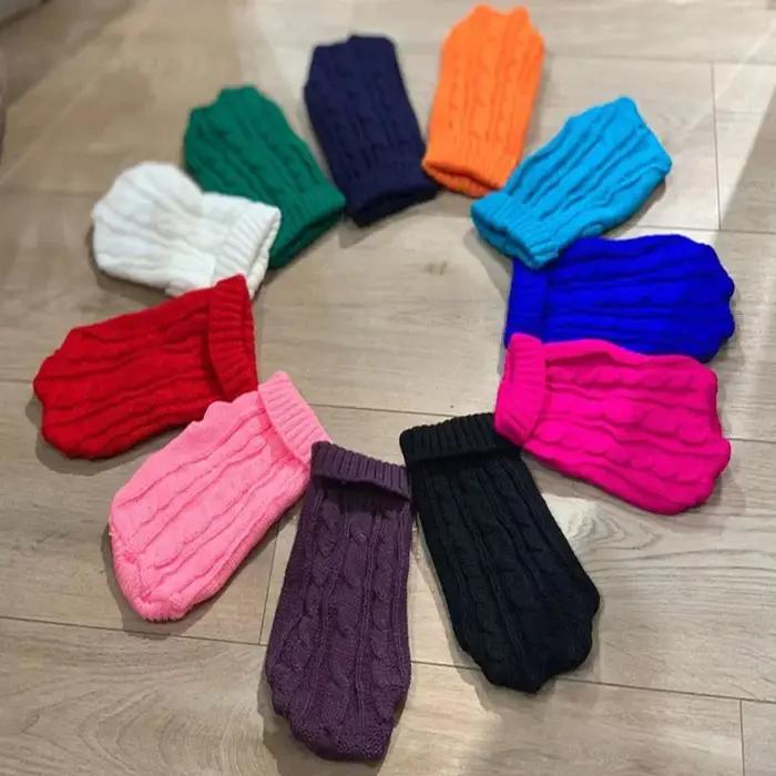 Vêtements d'hiver pour chiens