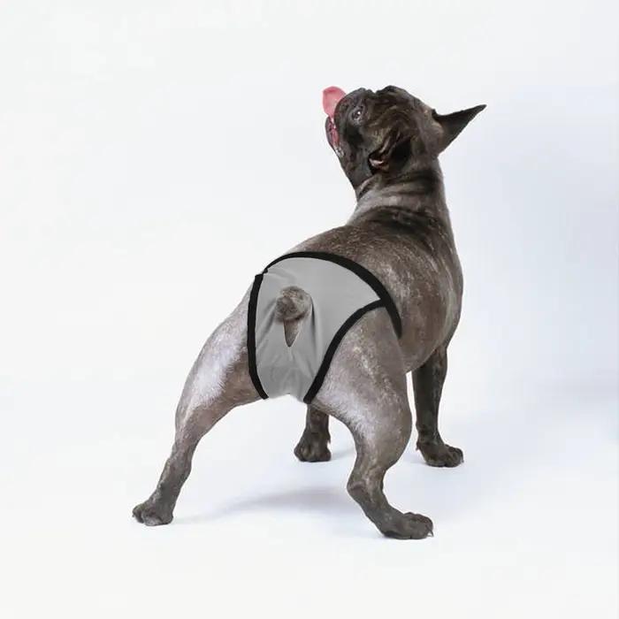 Culotte réglable pour chien féminin