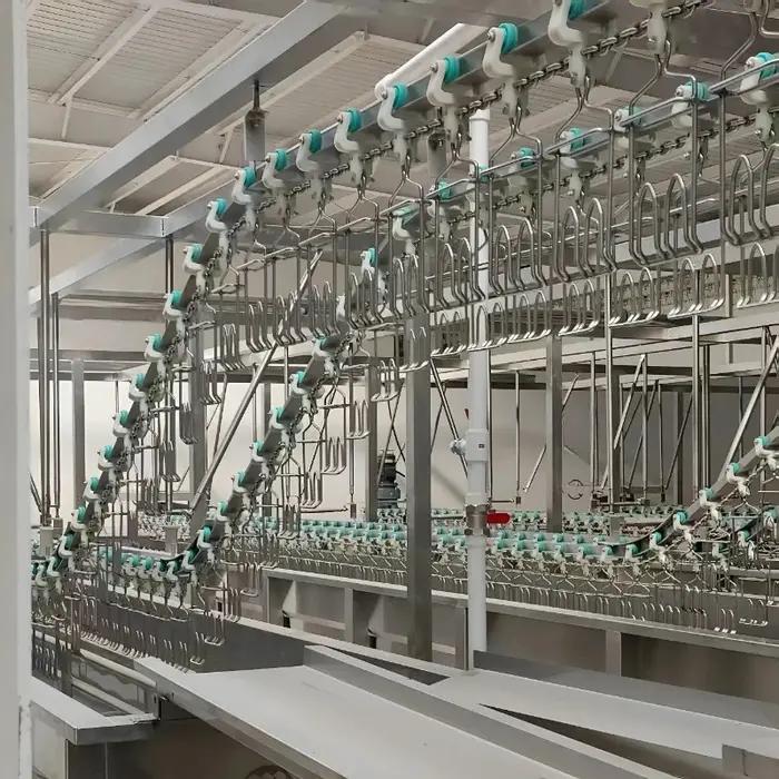 Ligne d'abattage de volailles, équipement d'abattoir, machine de traitement des volailles