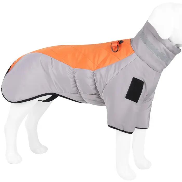 Golden Labrador Retriever – combinaison imperméable pour chien