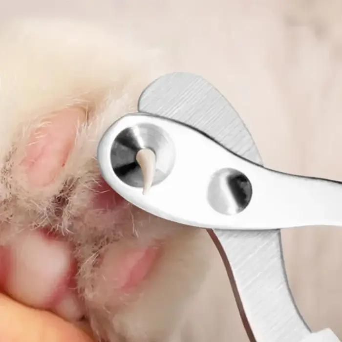 Coupe-ongles professionnel pour animaux de compagnie