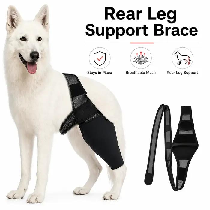 Attelle de Soutien Arrière pour Chiens – Stabilisateur Réglable avec Sangle de Hanche pour Récupérat