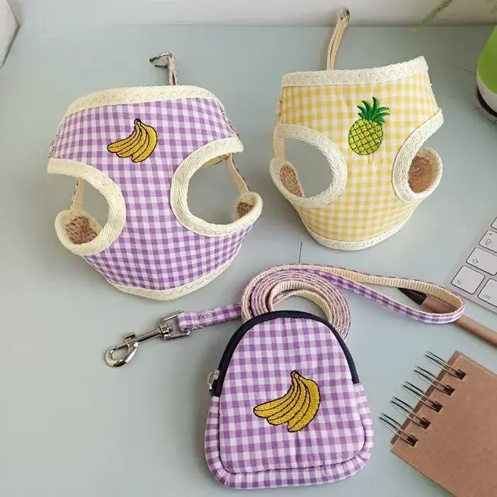 Ensemble laisse et harnais pour chien, laisse de traction pour chien, laisse de promenade pour chien, laisse pour petit chien, laisse pour chat, harnais de poitrion pour chat, collier, sac de transpor