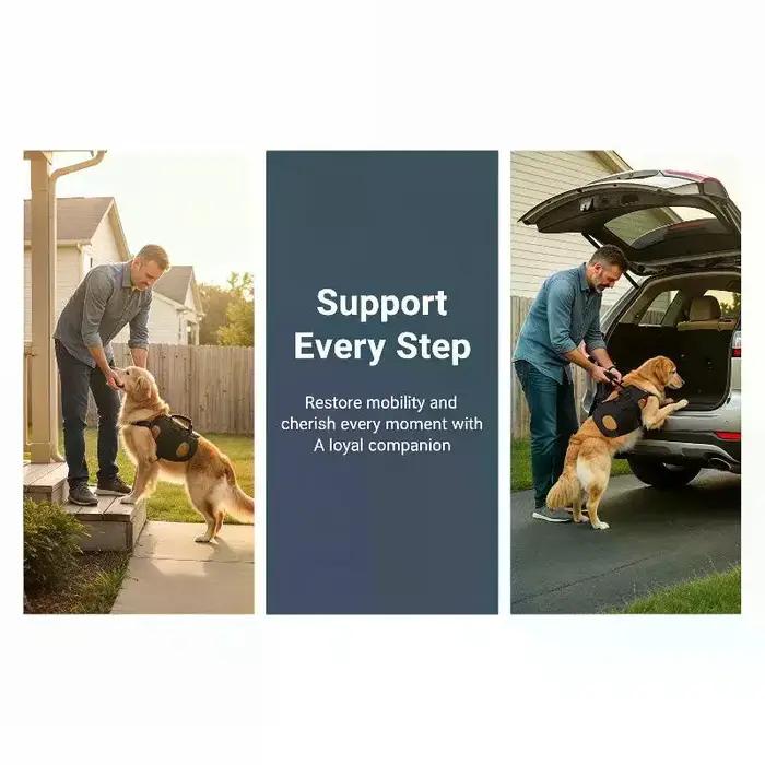 Harnais d'aide à la montée d'escalier pour chien adulte aide à la mobilité chiens âgés protection articulations chiens grandes races chiens plus lourds chiens vieux chiens aidants chiens escaliers chiens déplacement facile chiens sécurité chiens confort chiens soins santé chiens occasions spéciales