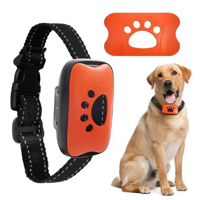 Collier anti-aboiement pour chien de compagnie