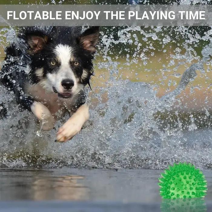 Petite balle de massage transparente à picots pour chien, jouet couineur pour animaux de compagnie, durable, pour le soin des dents, réduction du stress, divertissement quotidien.