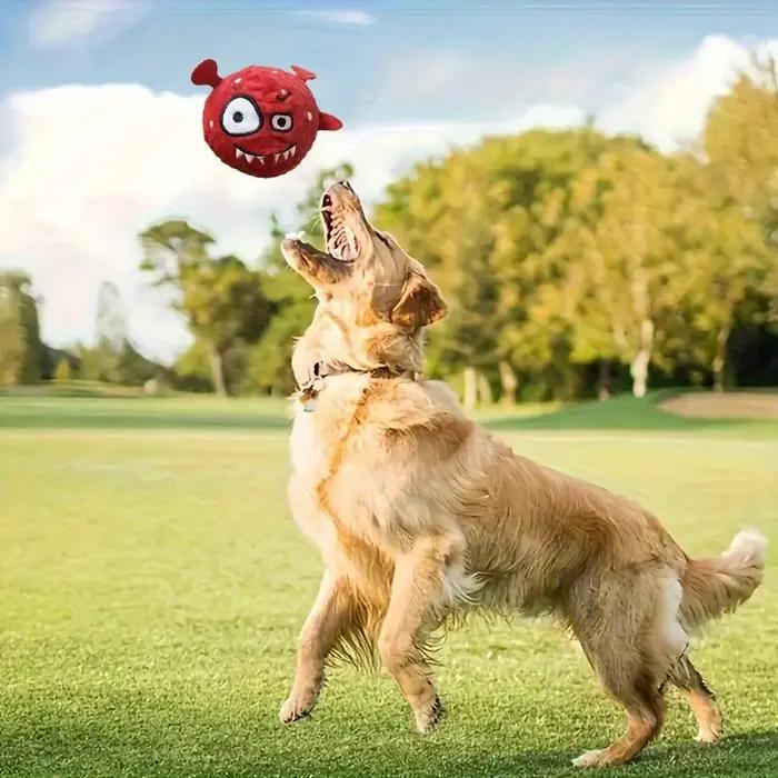 Boule sonore drôle pour chien de compagnie – Jouet