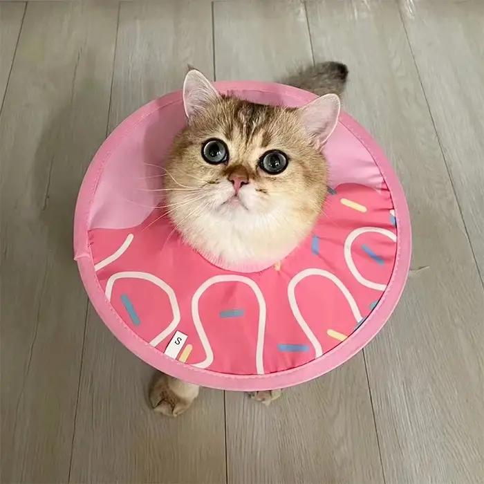 Collier de protection anti-morsure pour animaux de compagnie dacron élégant multicolore pour convalescence et sécurité des chats chiens occasions spéciales
