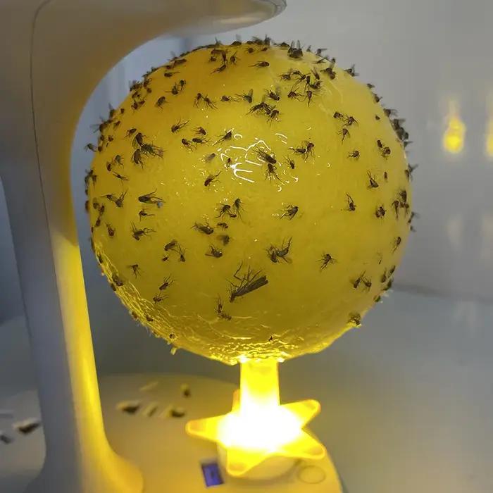 Piège à mouches et insectes avec boule de colle et lumière USB – Tueur de moustiques