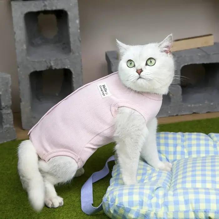 Combinaison post-opératoire respirante pour chiennes et chattes anti-léchage convalescence animaux de compagnie vêtements pour chiennes et chattes matériaux polyester styles chemises à col ouvert pour chiennes et chattes occasions spéciales convalescence post-opératoires