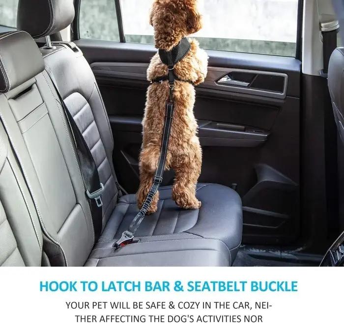 Ceinture de sécurité pour chien pour voiture