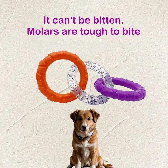 Jouets pour chiens, anneaux de traction