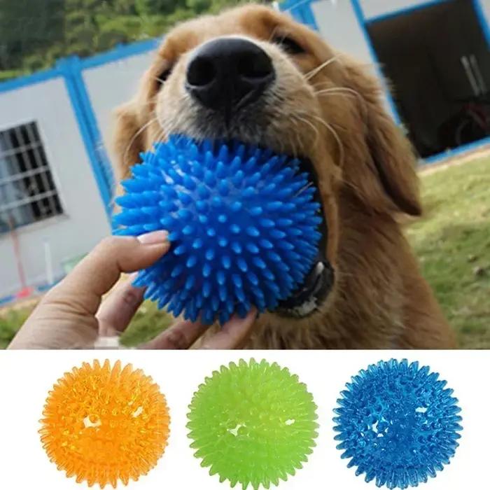 Jouet sonore pour animaux de compagnie
