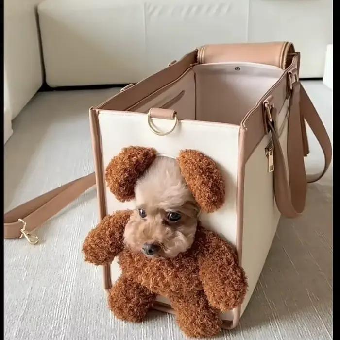 Sac de transport créatif pour animaux de compagnie, grande capacité, extérieur, une épaule inclinable, fourre-tout pour chat, petit chien, ours brun