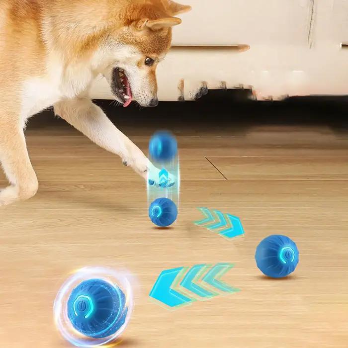 1 balle pour chien, balle rebondissante automatique pour chiens