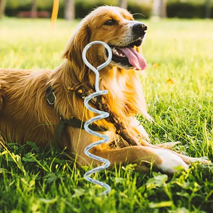 Piquets RapDuty pour grands chiens