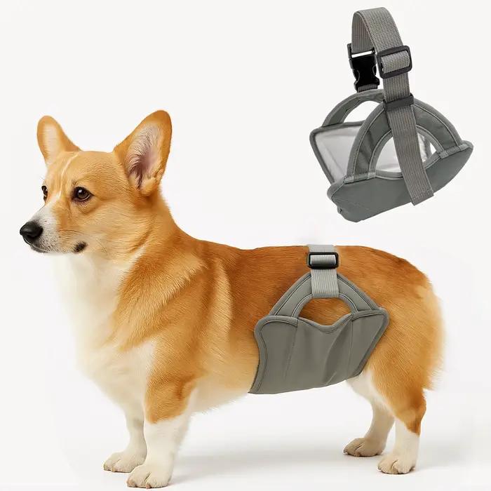 Nouveau pantalon physiologique pour chien mâle, idéal pour les promenades en extérieur, anti-harassement, prévention de la grossesse, pantalon sanitaire pour animaux de compagnie