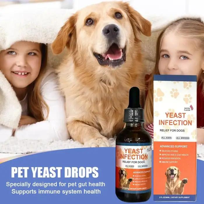 Gouttes de 6 ml pour chiens et chats contre les infections à levures – Complément alimentaire naturel à base de plantes pour soutenir la santé intestinale et le système immunitaire – Facile à administ