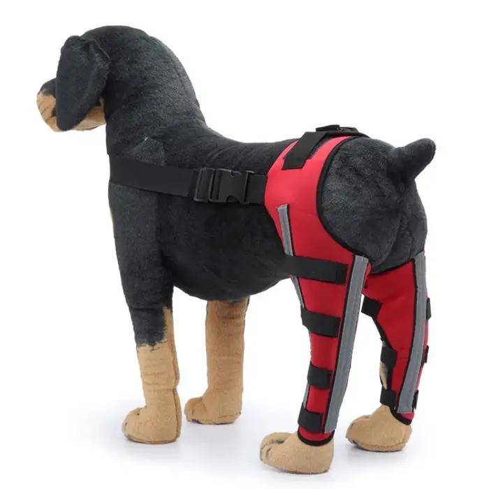 Attelle de soutien pour pattes arrière de chien âgé – Aide à la marche
