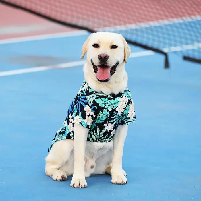 Chemise à fleurs hawaïennes pour grands chiens Teddy Golden Retriever Labrador vêtements de vacances hivernales été ocassions spéciales