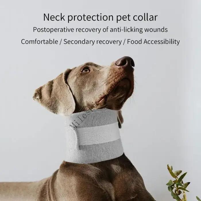 J60C Recovery Advable Pet Collar protège le cou mât mât