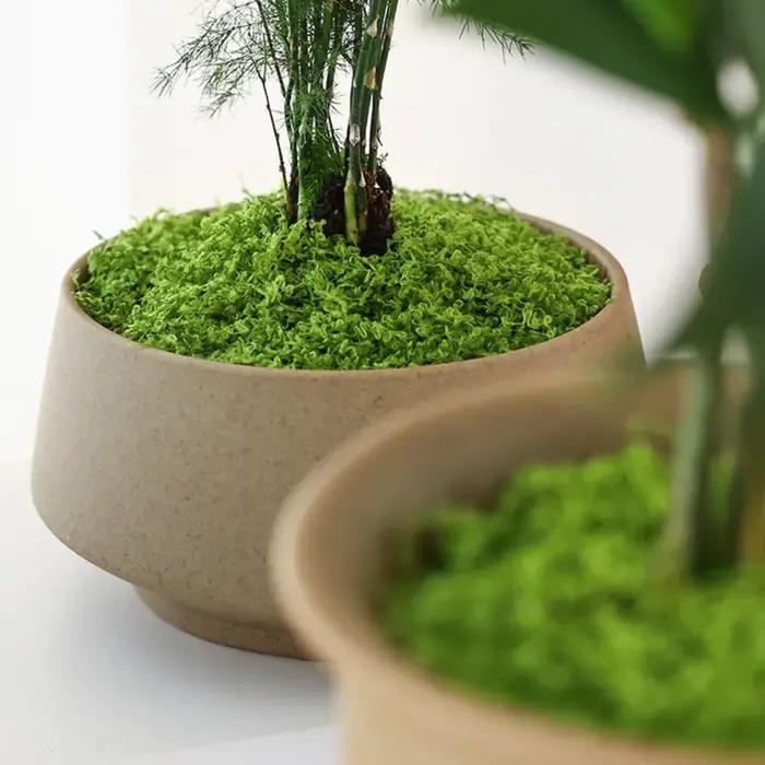 Mousse filamenteuse artificielle en polyester pour la décoration de jardin verte et rose occassions spéciales et embellissement de cour et balcon