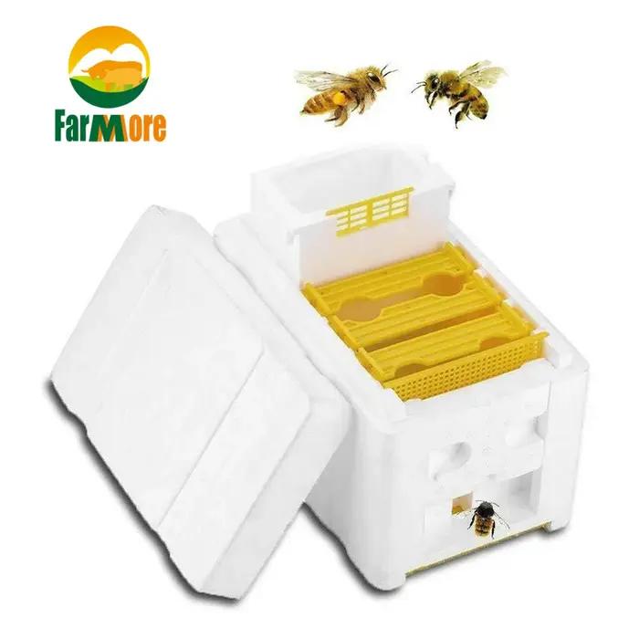 Boîte d'élevage d'abeilles reine, boîte d'accouplement d'élevage d'abeilles, boîte de polinination de ruche en mousse, outils pour l'apiculture, étui d'élevage, équipement pour l'apiculture