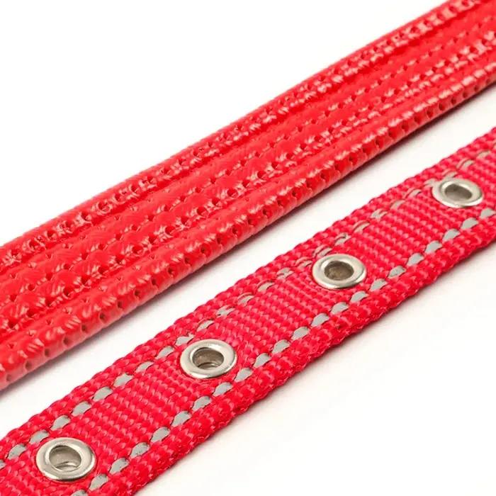 Collier de Protection Réglable en Nylon pour Chien