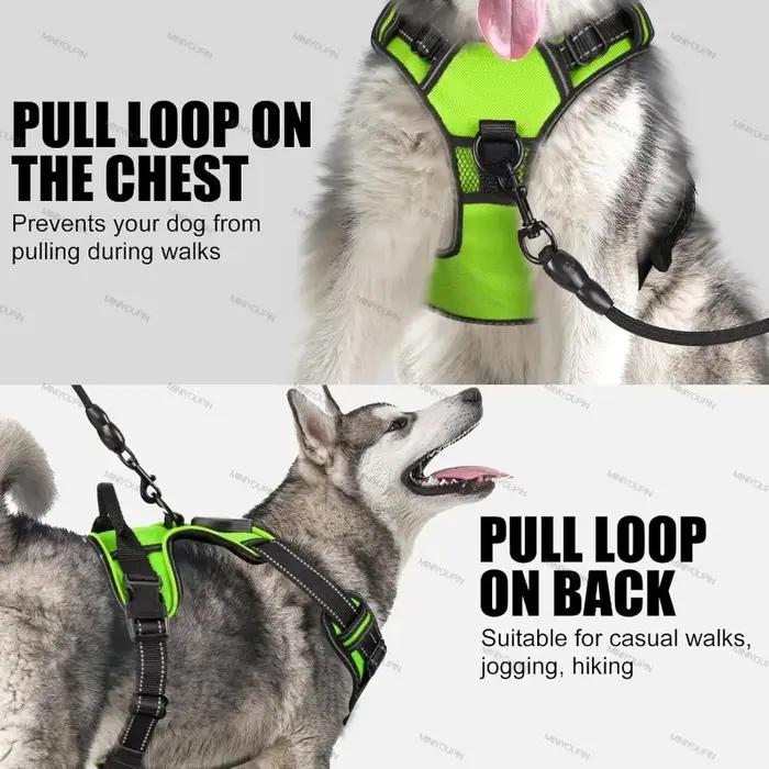Harnais lumineux LED rechargeable pour chien gilet de sécurité pour promenade nocturne modes d'éclairage trois couleurs disponibles pour animaux de compagnie sécurité visibilité confort nocturne
