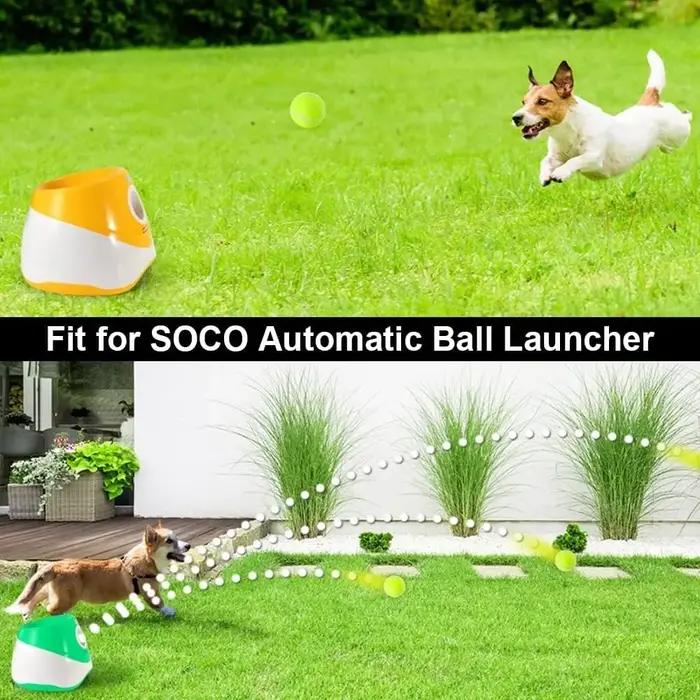 Balles de tennis pour chiens