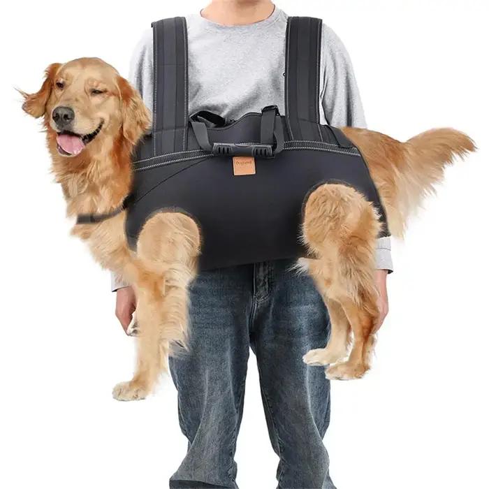 Sac à dos de transport pour grand chien
