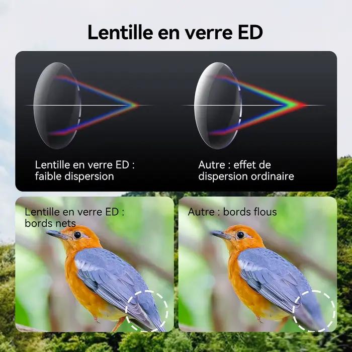 Jumelles SVBONY SV202 ED grand angle 8x32/8x42/10x42 - Prisme BAK4, étanche IPX7 pour ornithologie et camping