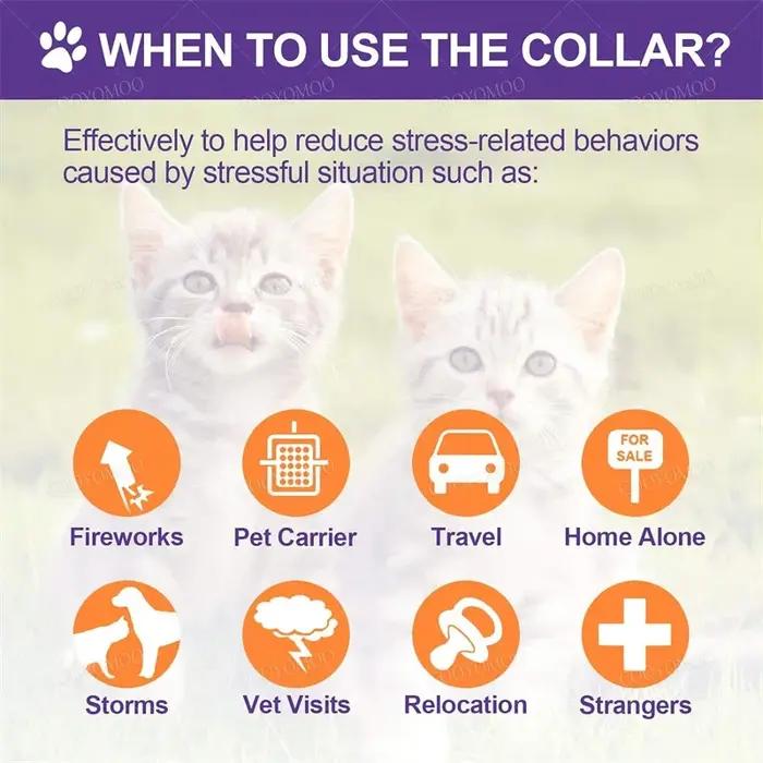 Collier Apaisant en Gel de Silice pour Animaux de Compagnie Réglable et Confortable Pour Chiot, Chaton, Grand Chien Occasions Spéciales