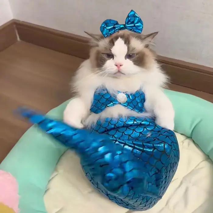 Costumes de sirène pour chat