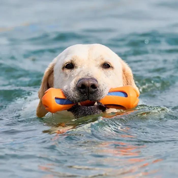 Jouet flottant pour chien en caoutchouc TPR durable, interactif, pour l'entraînement, soulage l'ennui, jouet à lancer pour la natation, jouets à mâcher pour chien d'extérieur